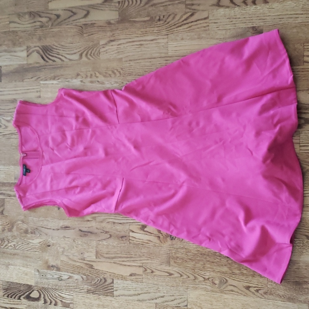 (6P) Talbots Solid Color Minimalist Fit & Flare Casual Modest Barbiecore